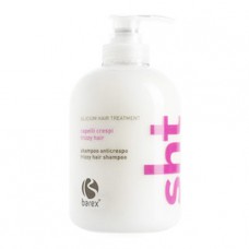 Шампунь для вьющихся волос (Frizzy Hair Shampoo), 350 мл