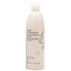 Gold 01 Shampoo - Шампунь для очень светлых волос, 250 мл