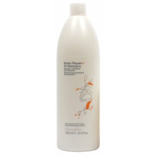 Hydro Repair 01 Shampoo - Шампунь для сухих и поврежденных волос, 250 мл