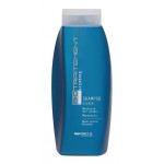 Shampoo Silver - Тонирующий шампунь для волос с сединой, 250 мл